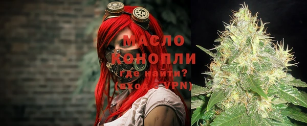 сатива Баксан