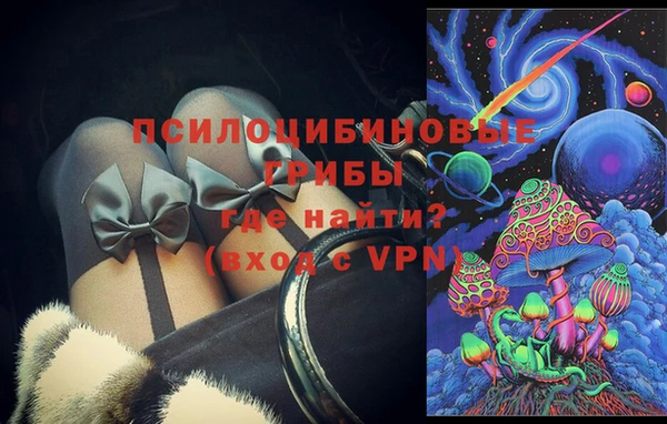 сатива Баксан